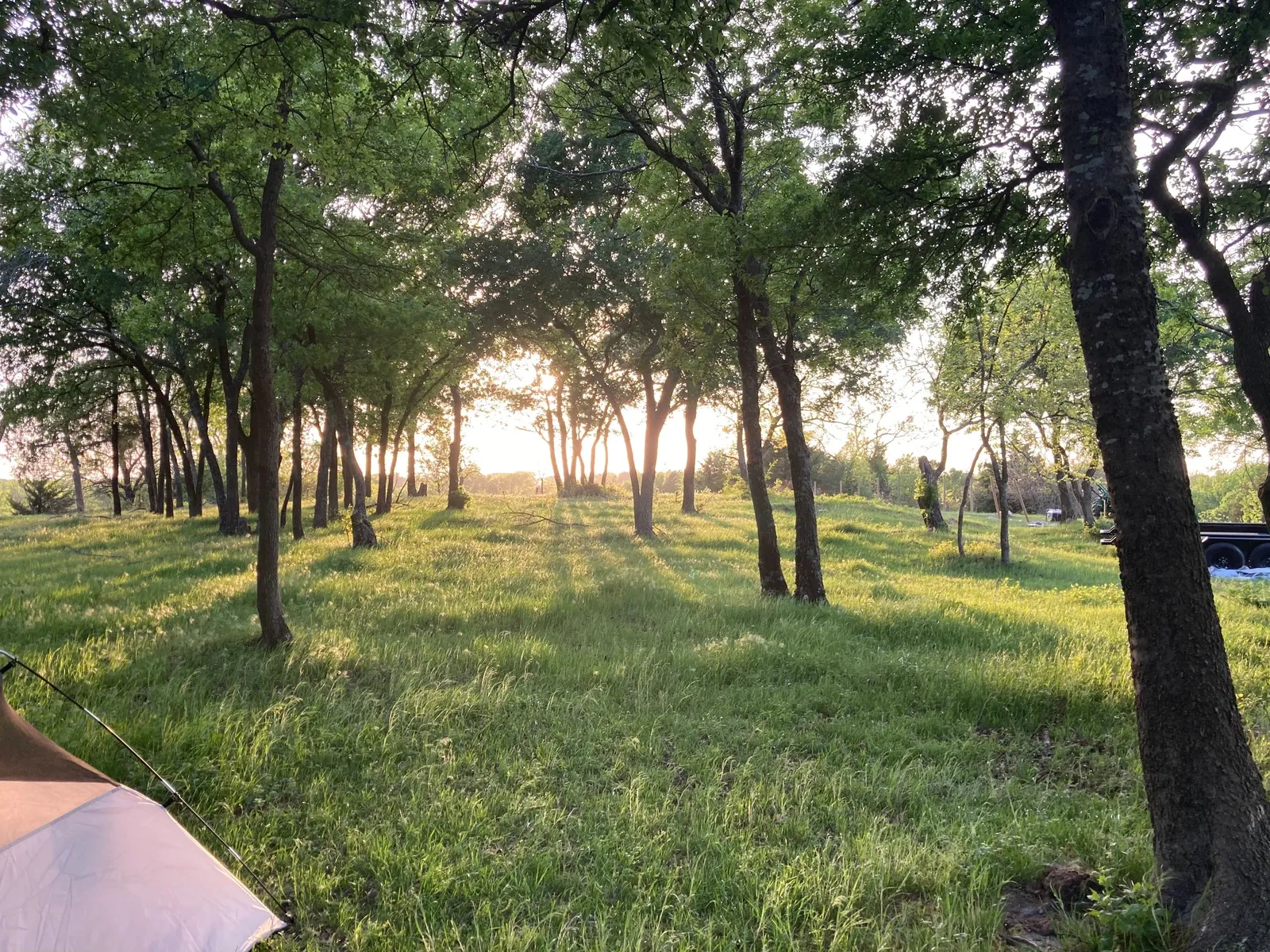 Scenic Grayson County views from the Primrose Hill wedding venue grounds